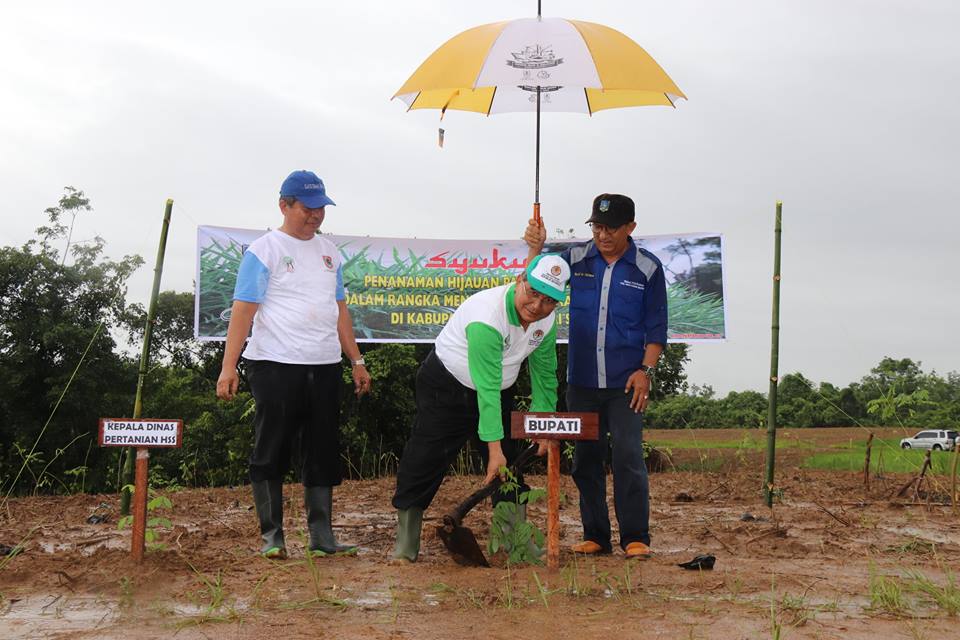 Pembukaan Lahan & Penanaman Hijauan Pakan Ternak (HPT