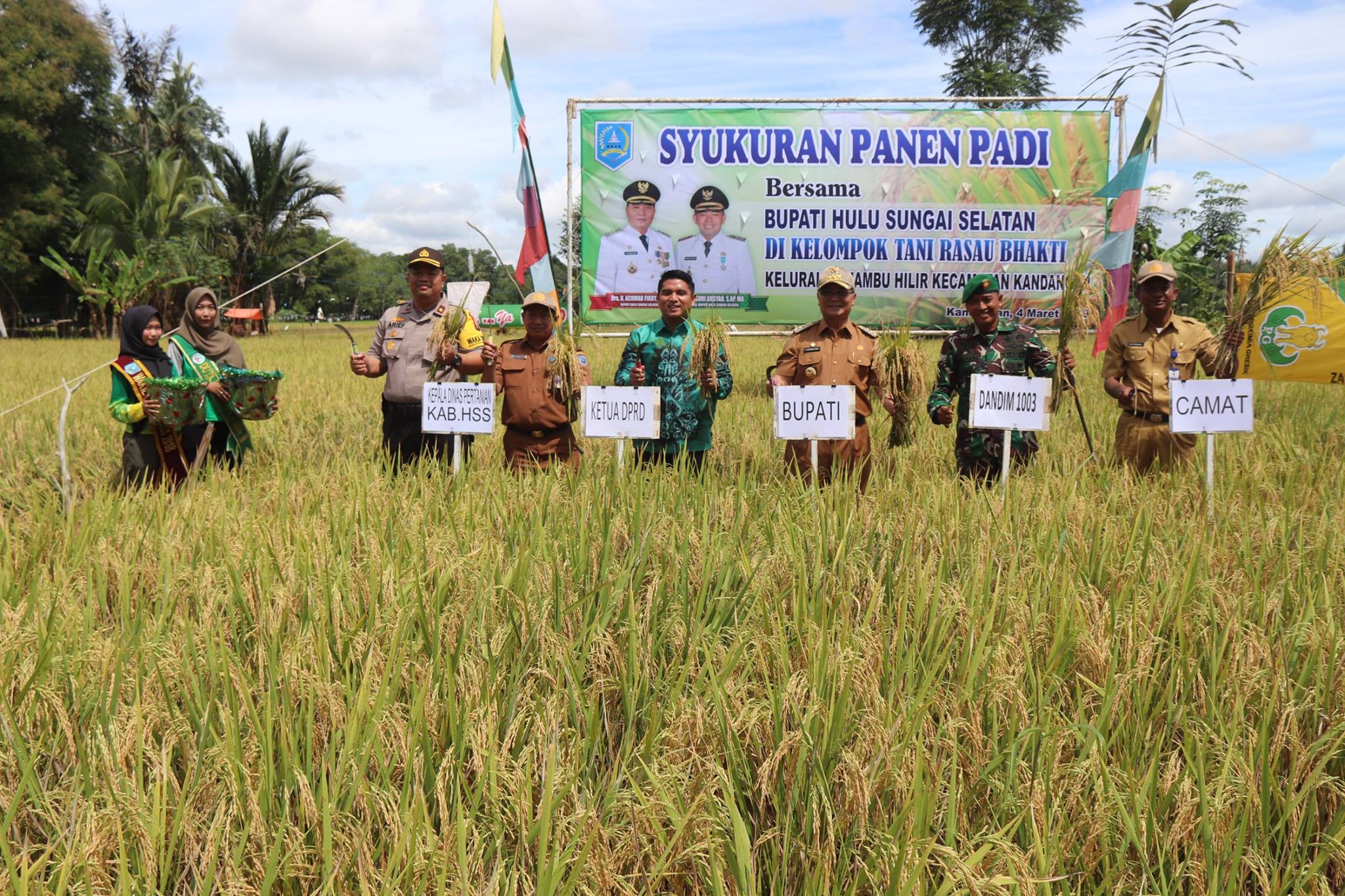 PANEN PERDANA SEKALIGUS PENANAMAN BENIH PADI OLEH POKTAN PADANG RASAU BERSAMA BUPATI