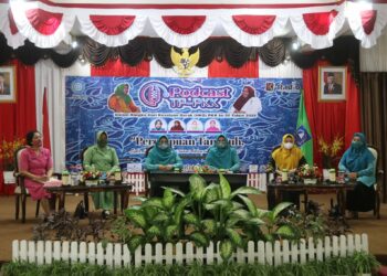 TP PKK Hulu Sungai Selatan Gelar Potcast Inspirasi