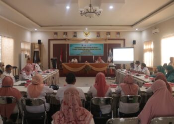 Wabup HSS Menghadiri Desiminasi Rencana Tindak Lanjut Audit Kasus Stunting