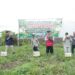 HADIRI SYUKURAN PANEN SEMANGKA, BUPATI HSS APRESIASI SEMANGAT PARA KELOMPOK TANI