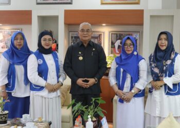 BUPATI HSS TERIMA AUDIENSI DENGAN IWAPI