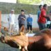 JAJARAN SETDA KAB. HSS LAKSANAKAN IBADAH KURBAN DALAM MOMENTUM HARI RAYA IDUL ADHA 1444 H