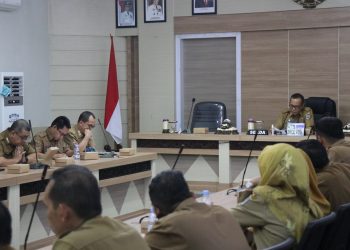ENTRY MEETING PEMERIKSAAN AKHIR MASA JABATAN BUPATI HSS
