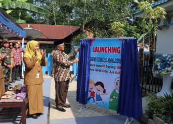 BUPATI FIKRY RESMIKAN BALAI PENYULUHAN KB TELAGA LANGSAT DAN LUNCURKAN PROGRAM ‘GEMAS BUMIA SALANTING’ UNTUK MENINGKATKAN KESEJAHTERAAN MASYARAKAT