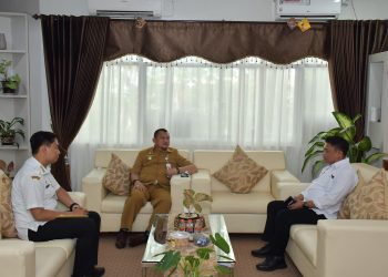 PJ BUPATI TERIMA TAMU DARI KEPALA BPN KAB HSS