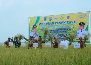 MESKI KONDISI SULIT, PETANI DESA SIANG GANTUNG BUKTIKAN KERJA KERAS DAN DEDIKASI DENGAN PANEN YANG LUAR BIASA