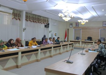 RAPAT INTERNAL RENCANA USULAN PENATAAN KEBUTUHAN APARATUR SIPIL NEGARA LINGKUP PEMKAB HSS