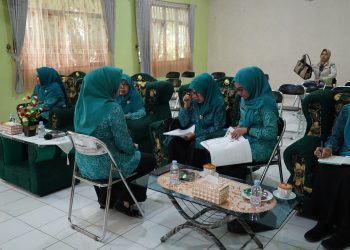 KECAMATAN LOKSADO JADI TUJUAN PJ. KETUA TP. PKK KAB. HSS PANTAU KEGIATAN LOMBA PKK