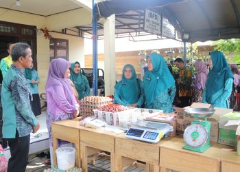 PJ. KETUA TP. PKK KAB. HSS DAN WAKIL KETUA I TP. PKK PANTAU GELAR PANGAN MURAH TTI DI DESA TELUK HAUR