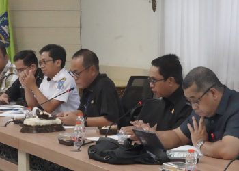 SEKRETARIS DAERAH KAB. HSS PIMPIN RAPAT IMPLEMENTASI PROGRAM KERJA TPAKD UNTUK MENINGKATKAN PERTUMBUHAN EKONOMI DAN KESEJAHTERAAN MASYARAKAT KABUPATEN HSS