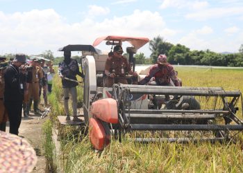 PENJABAT BUPATI HSS MENGHADIRI PANEN RAYA DI DESA HARITI: SERAHKAN BANTUAN BENIH DAN ALSINTAN UNTUK TINGKATKAN PRODUKTIVITAS PERTANIAN