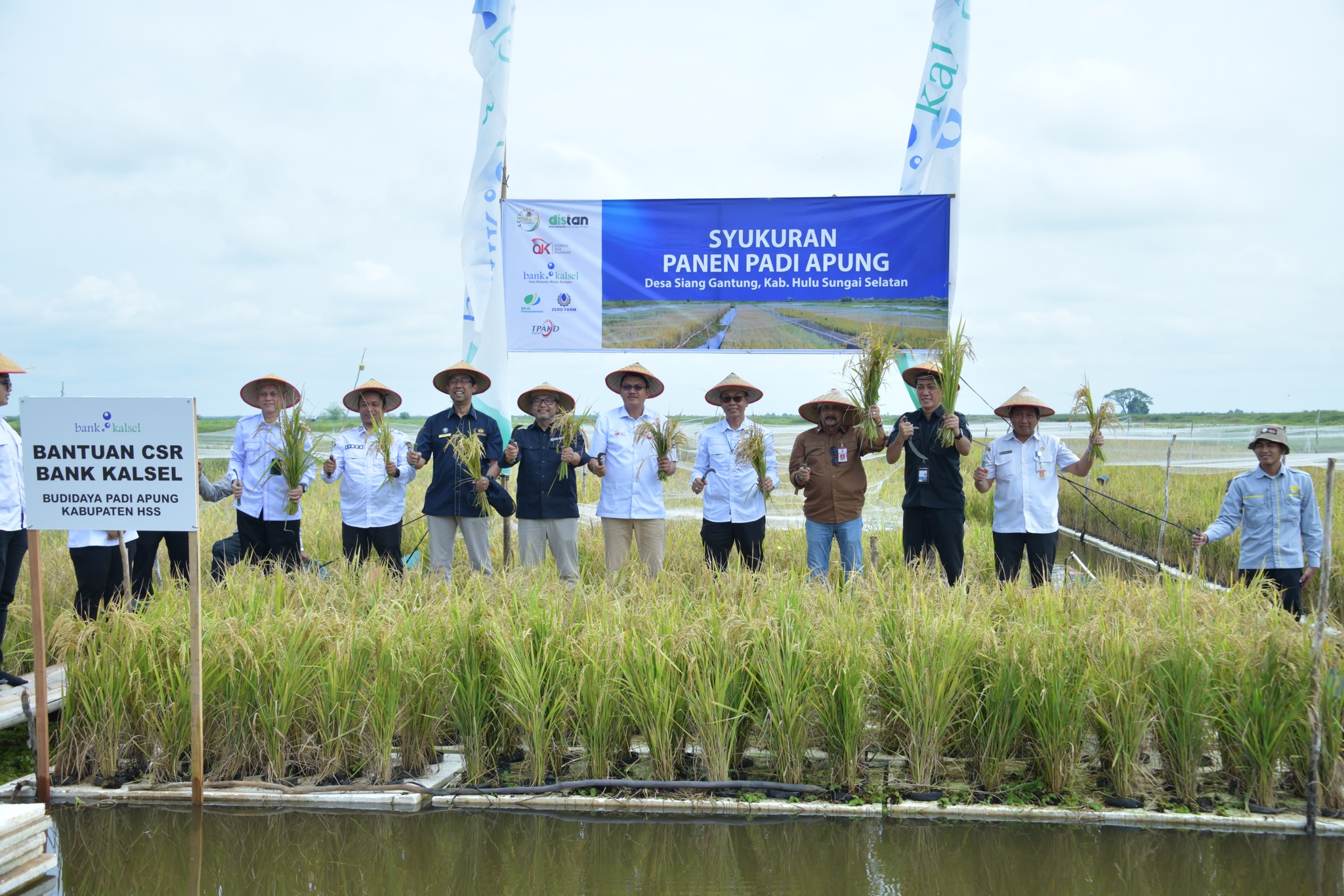 PANEN HARAPAN DI TENGAH RAWA, KOLABORASI PENGGERAK PADI APUNG DI HSS