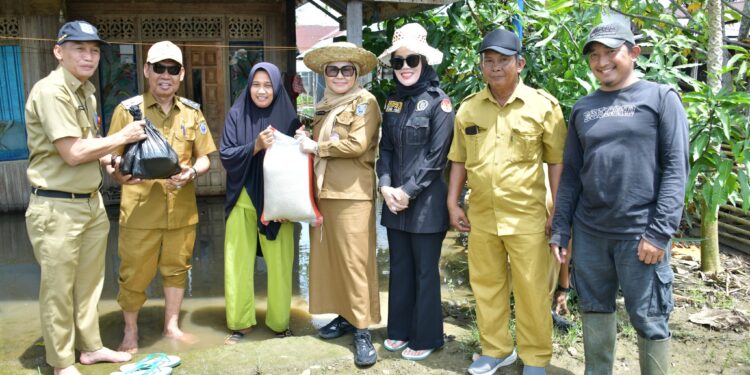 WAKIL BUPATI HSS TINJAU BANJIR DI TANIRAN KUBAH, SERAHKAN BANTUAN KEPADA WARGA TERDAMPAK