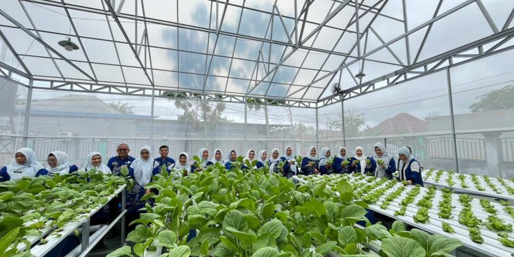 PANEN PERDANA KEBUN PKK, BUKTI NYATA KETAHANAN PANGAN KELUARGA MANFAATKAN LAHAN PEKARANGAN