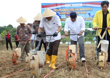 BUPATI HSS DAN KAPOLRES TANAM JAGUNG SERENTAK KUARTAL I 2026 DI DESA JELATANG DUKUNG KETAHANAN PANGAN NASIONAL