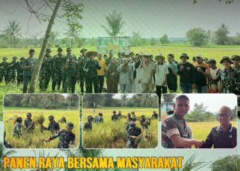 SINERGI PEMDA DAN TNI PERKUAT KETAHANAN PANGAN, PANEN RAYA DIGELAR DI PADANG BATUNG
