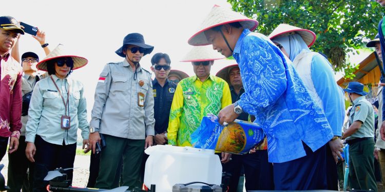 BUPATI HSS HADIRI TANAM SERENTAK, DORONG PENINGKATAN PRODUKSI PERTANIAN DAERAH