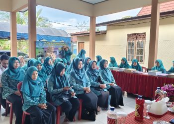 PEMBINAAN PAAREDI DI GAMBAH DALAM, TP PKK HSS TEKANKAN KELENGKAPAN DAN INOVASI PROGRAM
