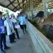 BUPATI HSS DORONG PENGUATAN INOVASI PERTANIAN, TINJAU PETERNAKAN SAPI DAN BERDIALOG DENGAN KELOMPOK TANI DI UPTD BPPT HARITI
