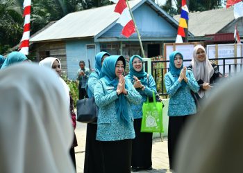 KETUA I TP PKK HSS DORONG KADER TINGKATKAN TERTIB ADMINISTRASI DAN KREATIVITAS