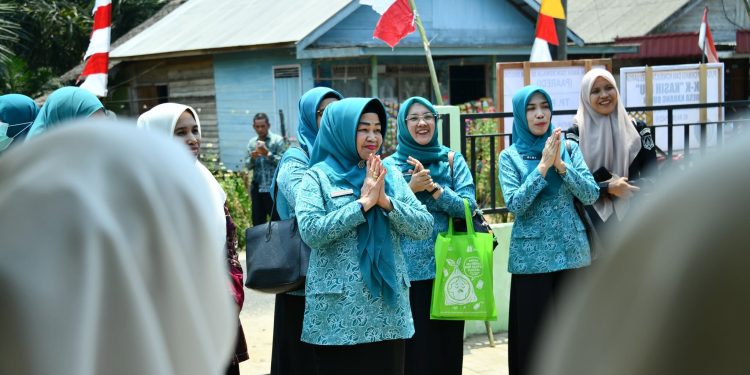 KETUA I TP PKK HSS DORONG KADER TINGKATKAN TERTIB ADMINISTRASI DAN KREATIVITAS
