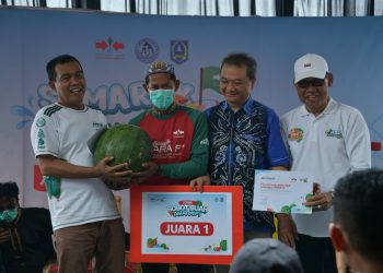 PANEN RAYA SEMANGKA AMARA F1, BUPATI HSS DORONG PENINGKATAN EKONOMI PETANI