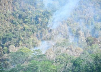 KARHUTLA MELANDA GUNUNG BATU LAKI, BUPATI HSS PASTIKAN PENANGANAN TERKOORDINASI