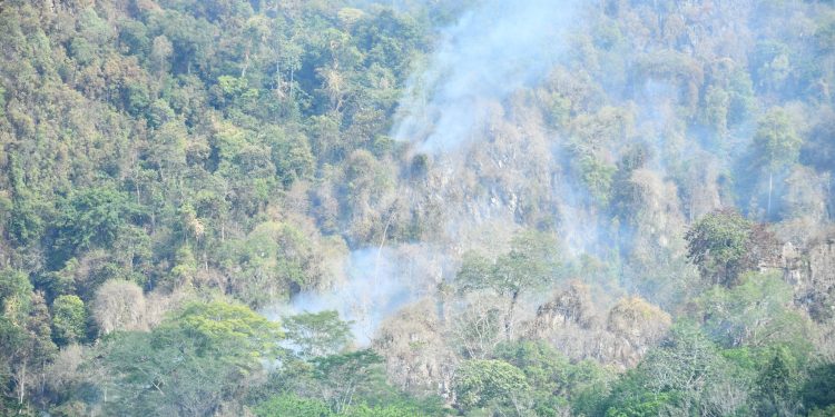 KARHUTLA MELANDA GUNUNG BATU LAKI, BUPATI HSS PASTIKAN PENANGANAN TERKOORDINASI